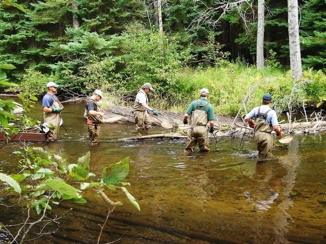 iniciandonos en la pesca